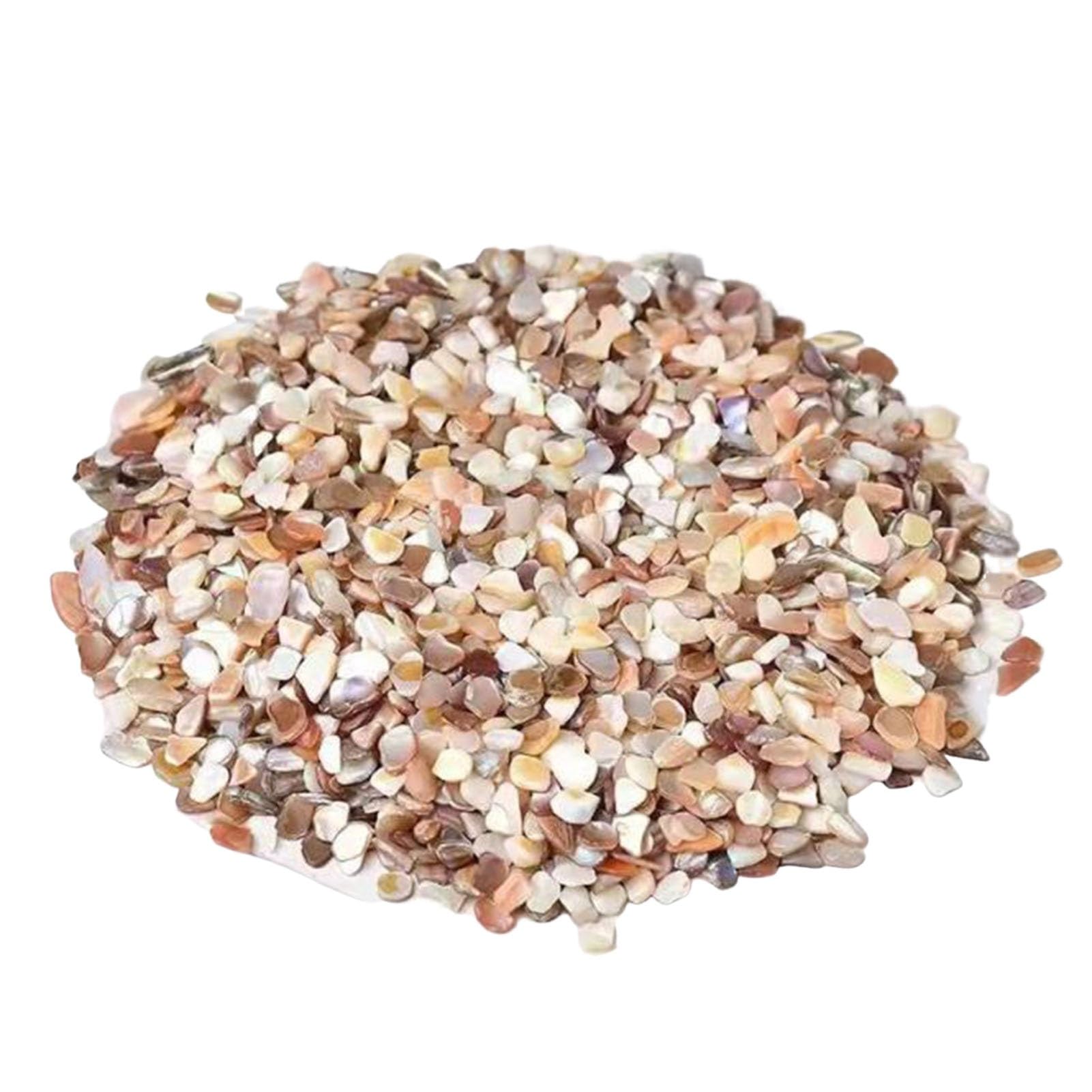 Xyueru One Color 500G Crushed Shells Irregular Natural Sea Shell Fragments Home Decoration