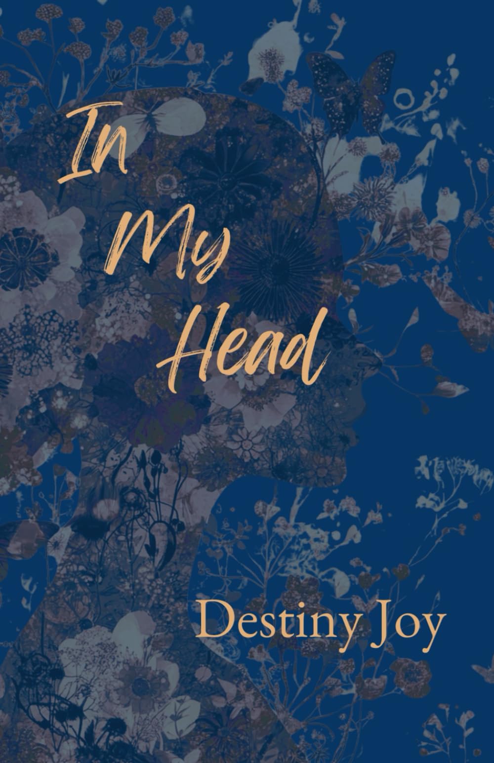 In My Head: A Poetry Collection