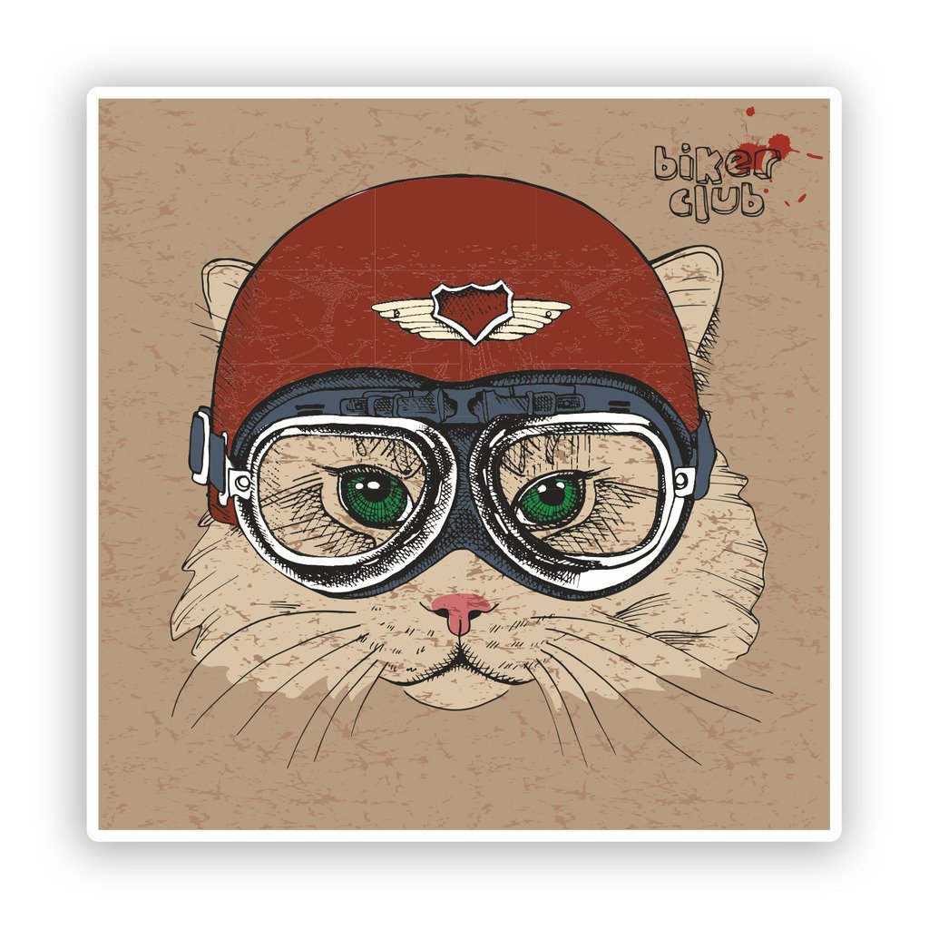 Destinationvinyl Multi 2 X 10Cm/100Mm Biker Club Cat Funny Vinyl Stickers #7566