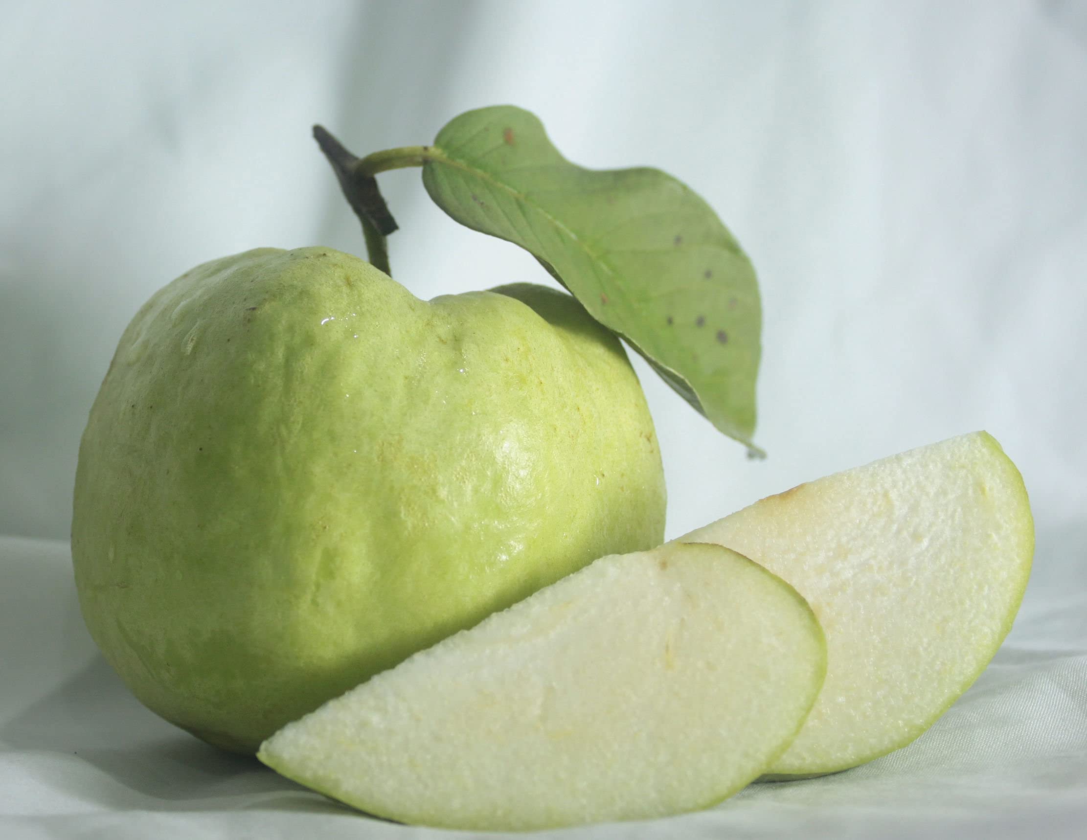 M-Tech Gardens Rare Grafted Layering Guava " Allahabad " Hybrid Variety 1 Live Plant (B09HR79CWF) Amazon Price History, Amazon Price Tracker