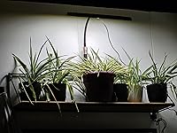 Review Image by Cold In Wisconsin