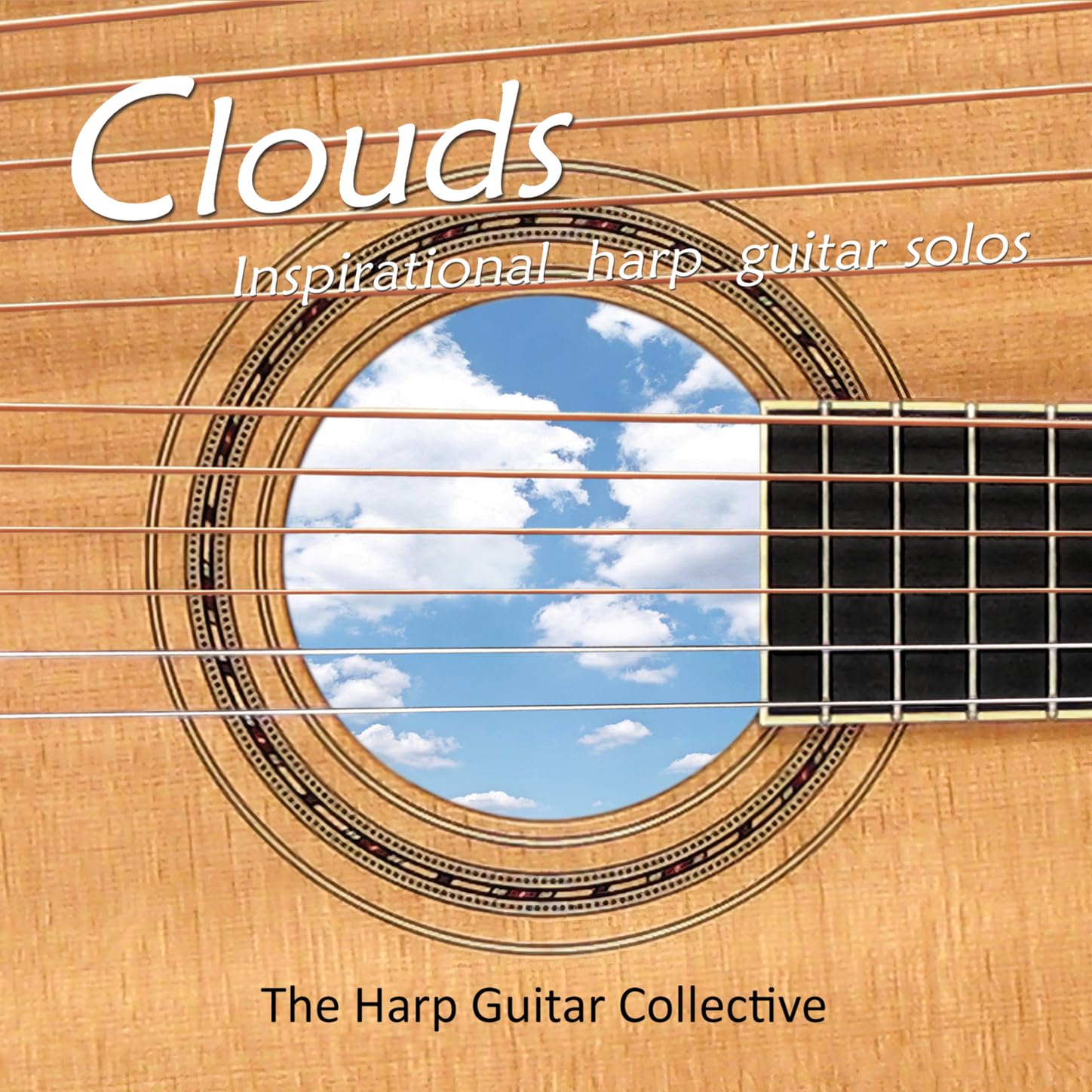 The Harp Guitar Collective