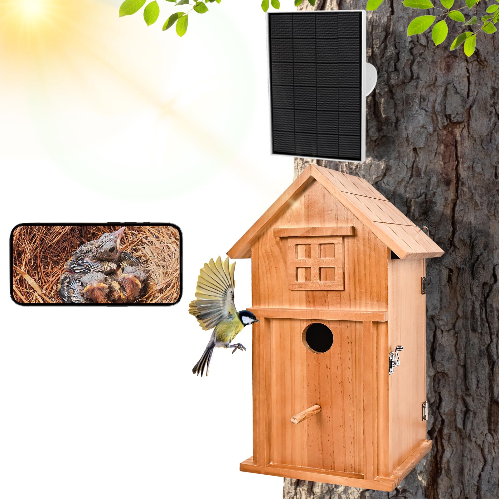 Nichoir intelligent extérieur foncé pour observer les oiseaux du jardin