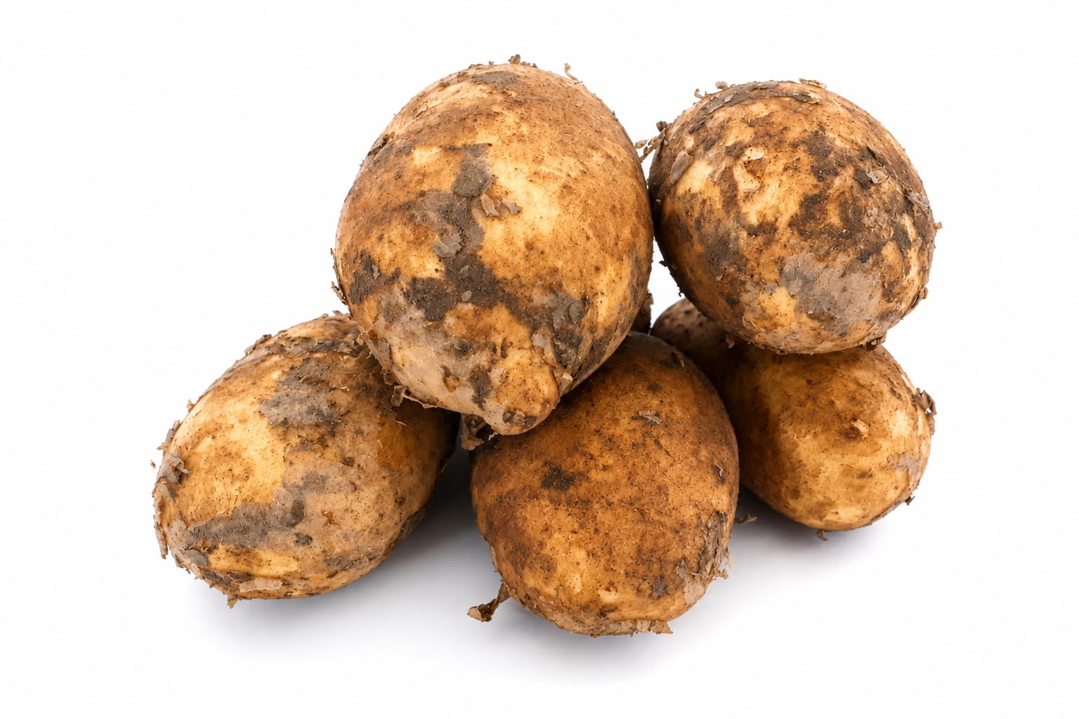 Kartoffeln Finka vorwiegend Festkochende deutsche Kartoffel, frische Ernte 2026, geeignet für Bratkartoffeln, Gratin, Kartoffelsalat, Ofenkartoffeln, Pellkartoffeln, Salzkartoffeln (10)