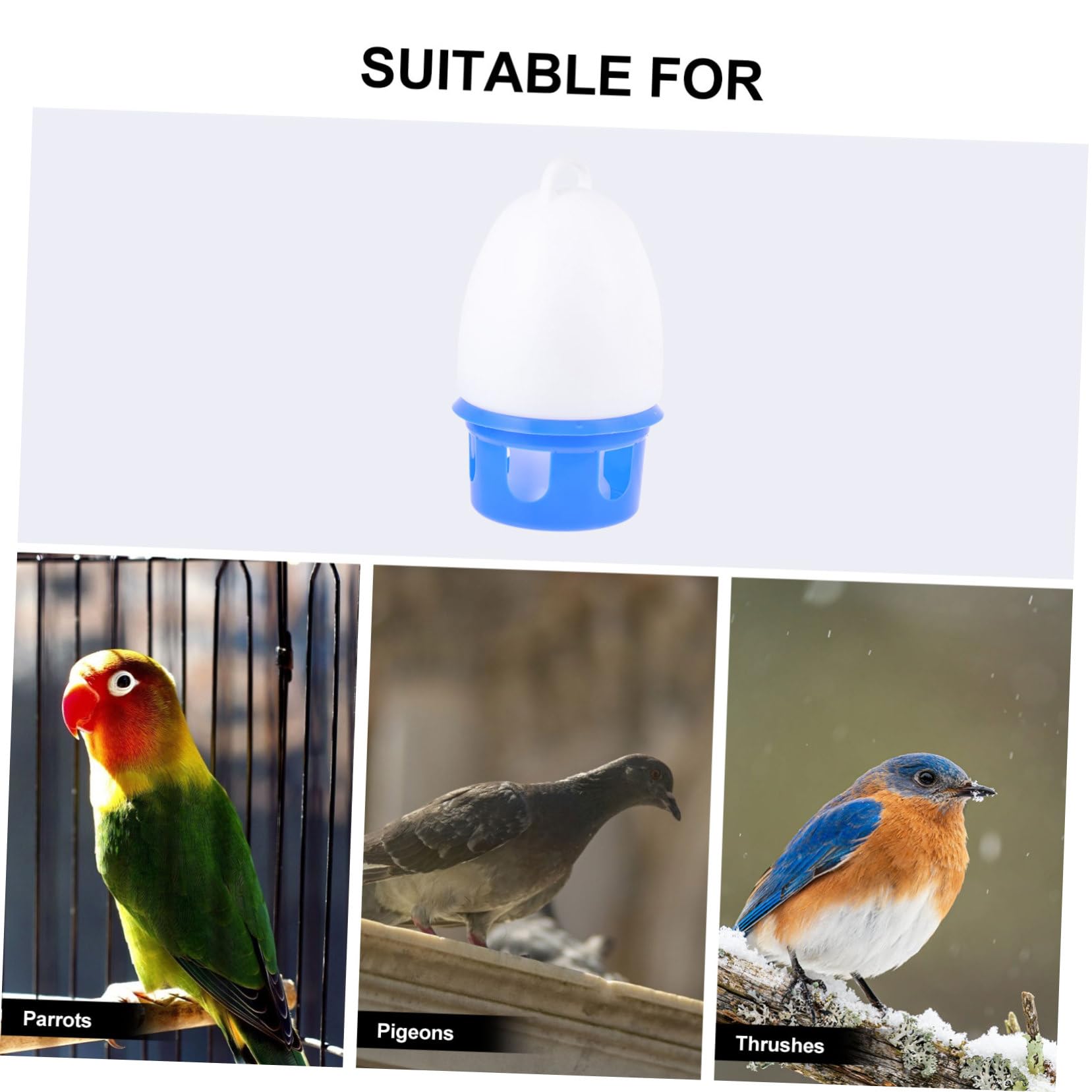 Bebedero de Agua para Palomas Automático, Azul, PVC, Redondo | Asa, Gran Capacidad, Desmontable, Apto para Palomas y Loros, Uso Doméstico