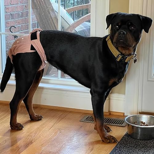 Miniatura 6 de Leekalos Pañales reutilizables lavables para perras (3 unidades)  Pañales para perritos altamente absorbentes  Pañales ajustables para cachorros