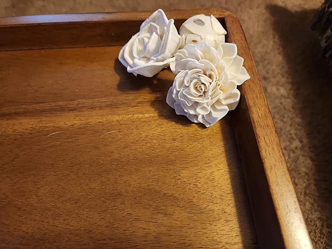 Review Image by metalheadpirate
