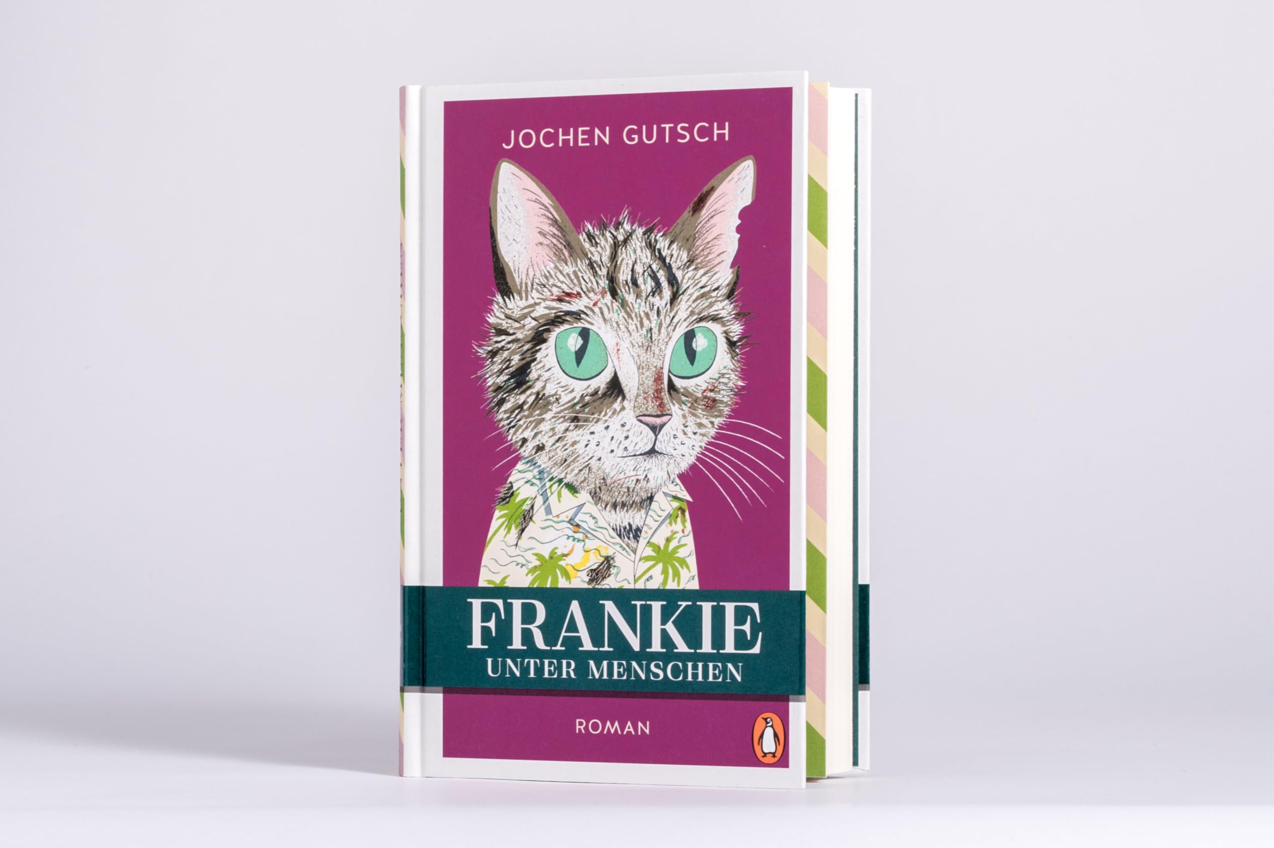 Frankie - Unter Menschen: Roman - Der SPIEGEL Bestseller Nr. 1: Ein kleiner Kater eroberte die Herzen der Leser auf der ganzen Welt. Endlich kehrt Frankie zurück!: 2