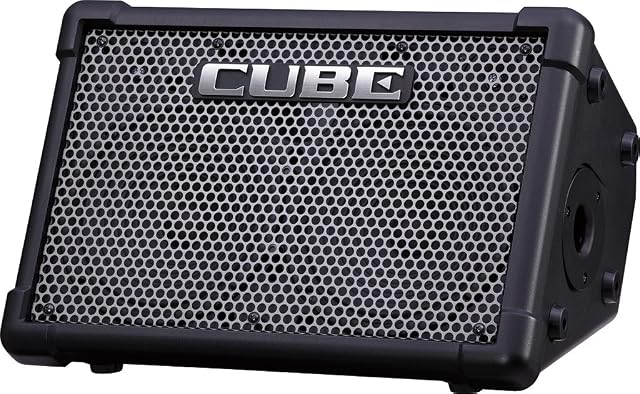 Roland Cube Street Ex Battery-Powered Portable Stereo Amplifier, for Performers On The Go, 50 Watts of Stereo Power