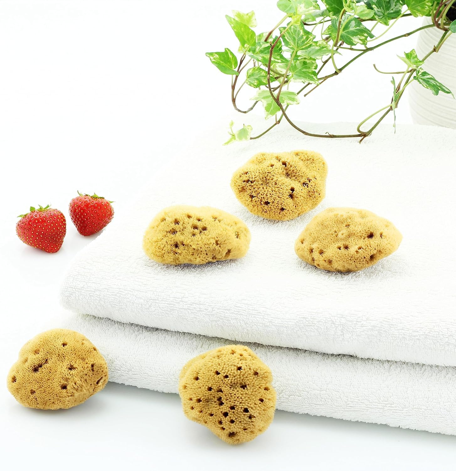 Spugna Naturale del Mediterraneo per il Corpo, Non Sintetica (5 PEZZI - SPUGNA MESTRUALE GRANDE DA 6-7 CM)