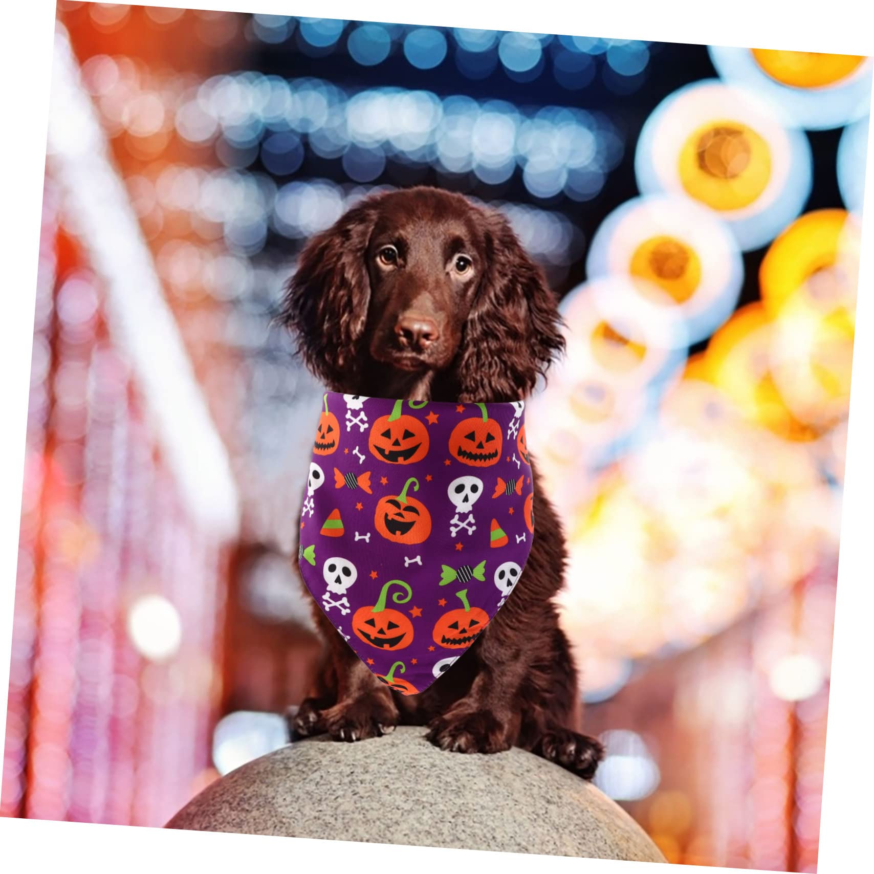 Kisangel 5 Piezas Toalla Triangular para Mascotas Halloween Costume Decoración De Bufanda Bandana para Perros Estilo Halloween Bandana para Perros Resistente Desgaste Púrpura Poliéster