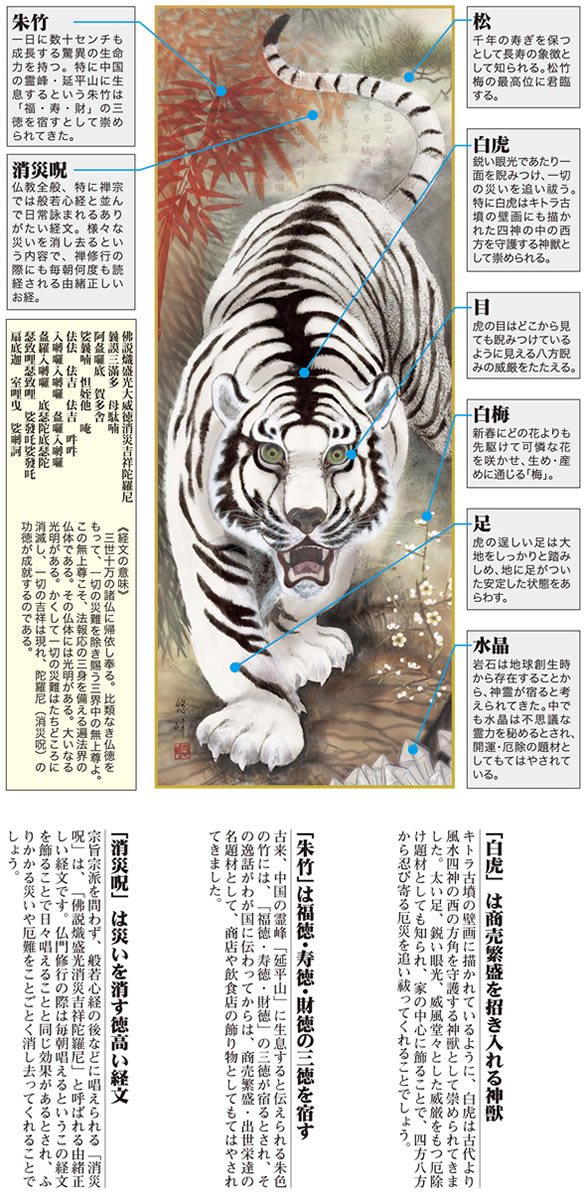 〈木製〉虎の掛け軸 Amazon.co.jp: 掛け軸-消災白虎朱竹之図／加納悠峰（尺三・桐箱