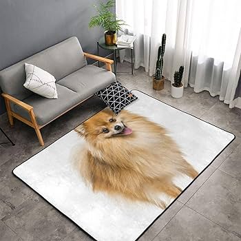 Amazon | ポメラニアン 犬柄 カーペット 長方形 ラグマット ラグ 絨毯