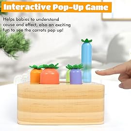 Montessori Toys for Baby 6-12 Months, Wooden Toy for 1 Year Old Boys and Girls, Magnetic Carrot Game for Toddlers, Shape Sorting Matching Puzzle, Educational Birthday (Bouncing Carrot)