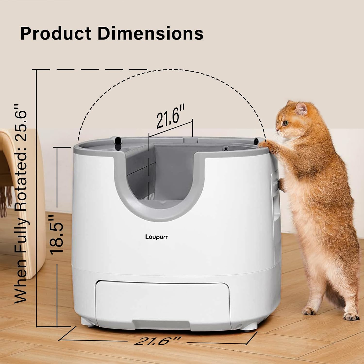 L1 Open-Top Automatic Cat Litter Box Self-Cleaning, Easy Maintenance with Multi Safety Sensors, Large Capacity, Includes Trash Bags (2026 Upgraded Model)