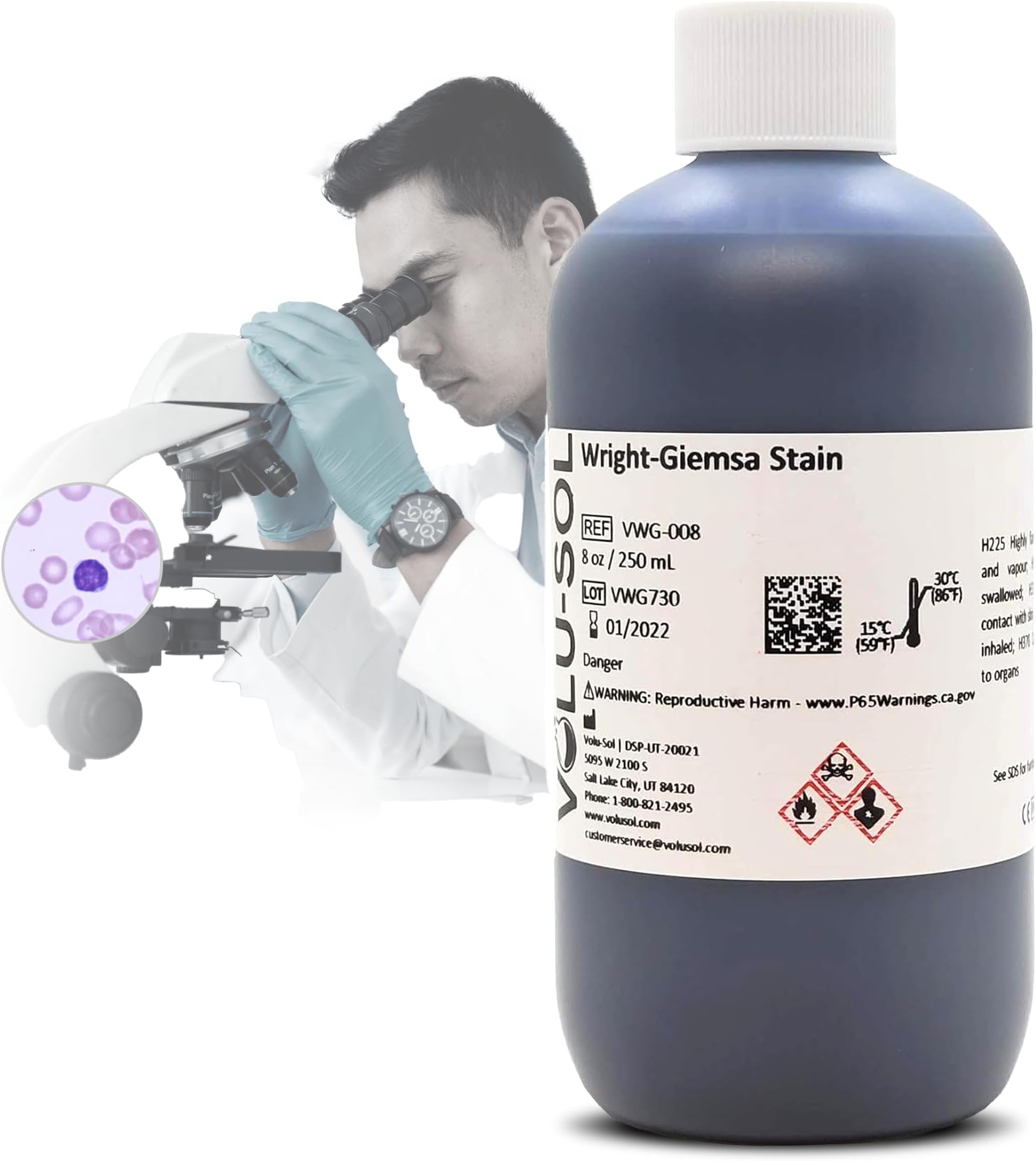 Wright-Giemsa Stain - Professional Hematology Stain for Blood Smears - Explore Cell Morphology and Conduct Differential WBC Counts with Precision (250 mL / 8 oz.)