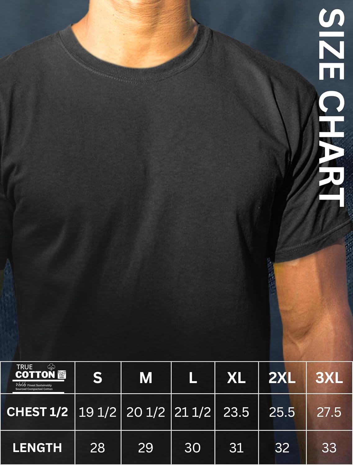 Men's Short Sleeve Crew Neck T-Shirt, S - 3XL with Modern Cut