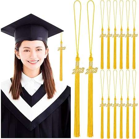 14 Pieces Graduation Tassel Academic Graduation Hat Tassel with 2022