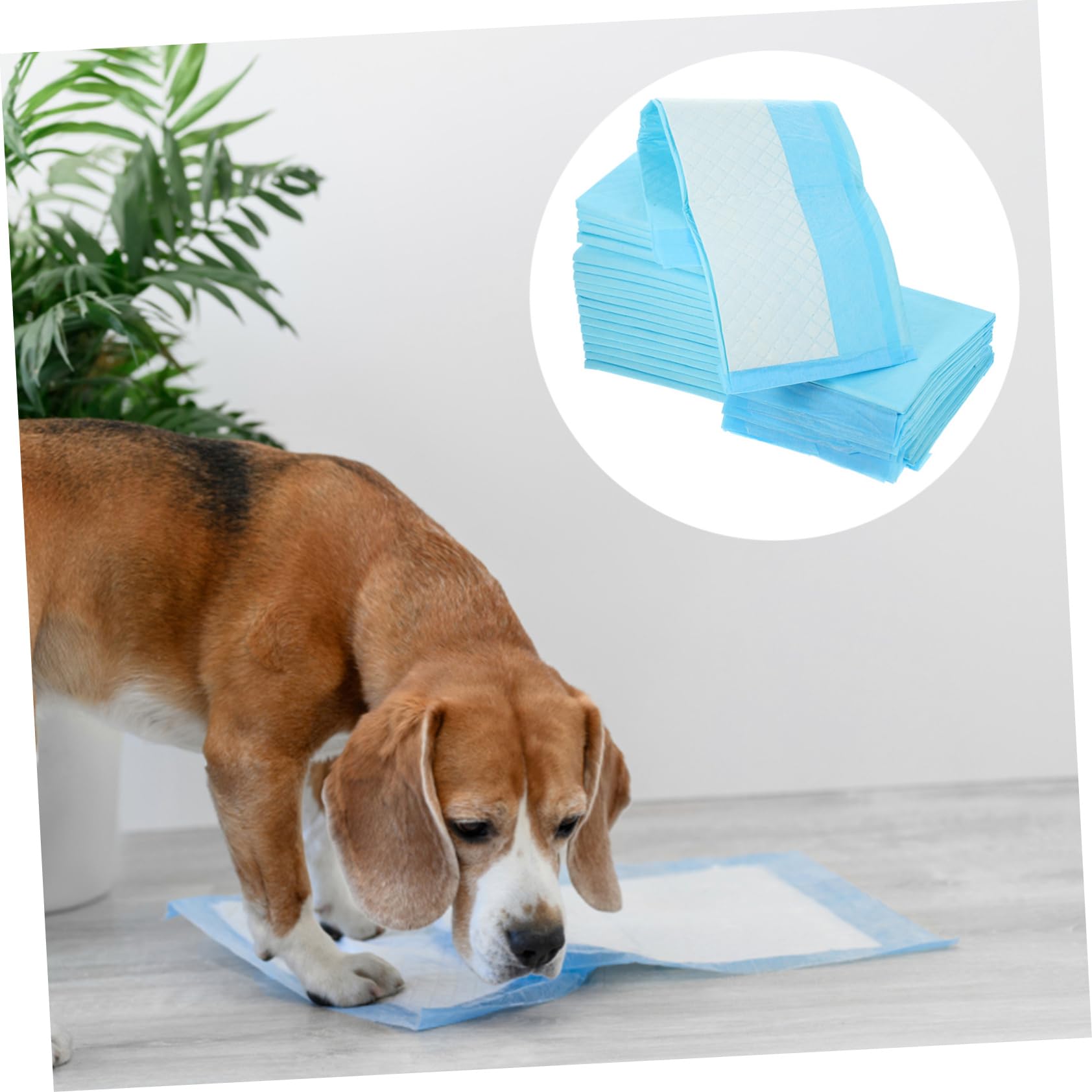 Toyvian 1 Set Tappetini Assorbenti Per E Animali Confezione Da Igienici E Impermeabili Per Addestramento Capacità Assorbimento 50