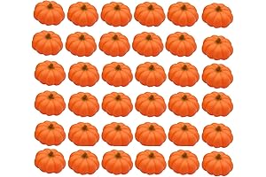 Cute Mini Pumpkins for Stress Relief, Kids Fun, and Halloween Decorations