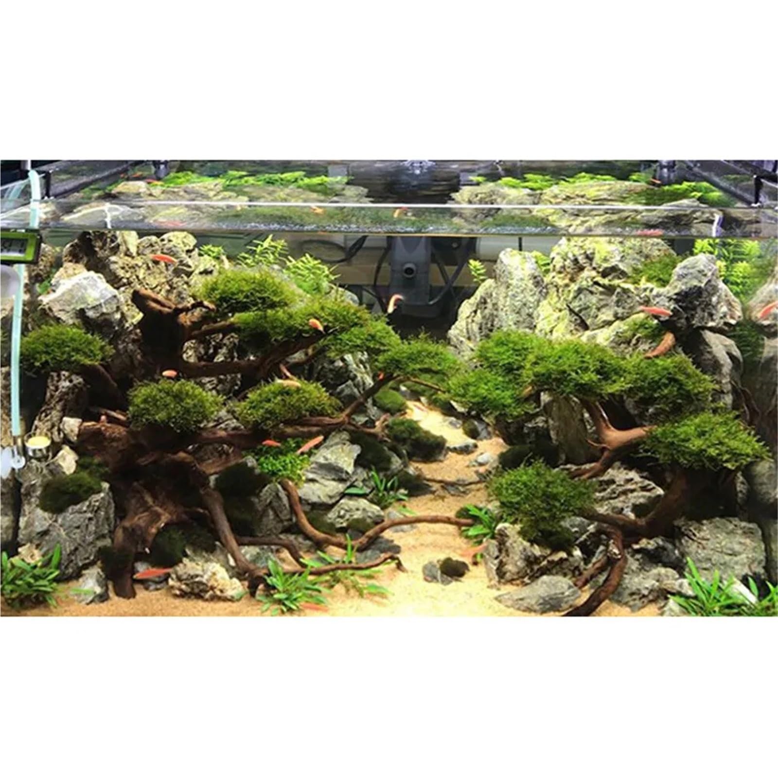 Legno Galleggiante per Acquario Tronco di Legno Galleggiante, radice, Albero, 4 Teste, Acquario, Piante, Paesaggio, Albero di Legno