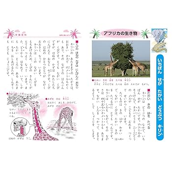 希学園　小6　ベーシック国語　　フルセット 2024年版 希学園 小6 ベーシック国語 全12冊 希学園 6年生 国語