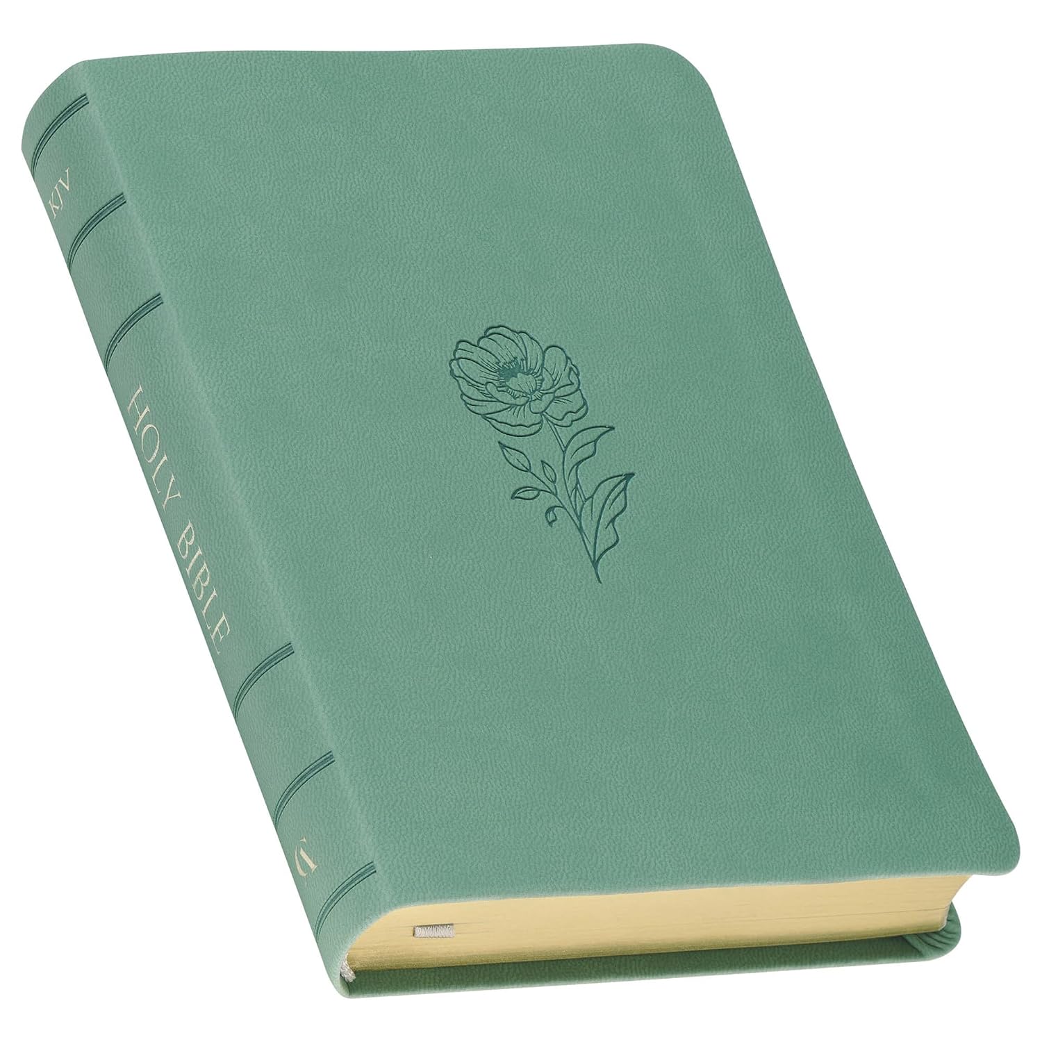 KJV Holy Bible, Compact Vegan Leather Red Letter Edition - Ribbon Marker, King James Version, Teal (KJV Compact Editions)