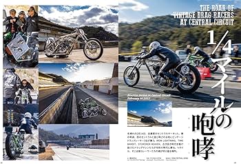 Amazon.co.jp: VIBES (バイブズ) 2025年4月号 (vol.378) : バイブズ