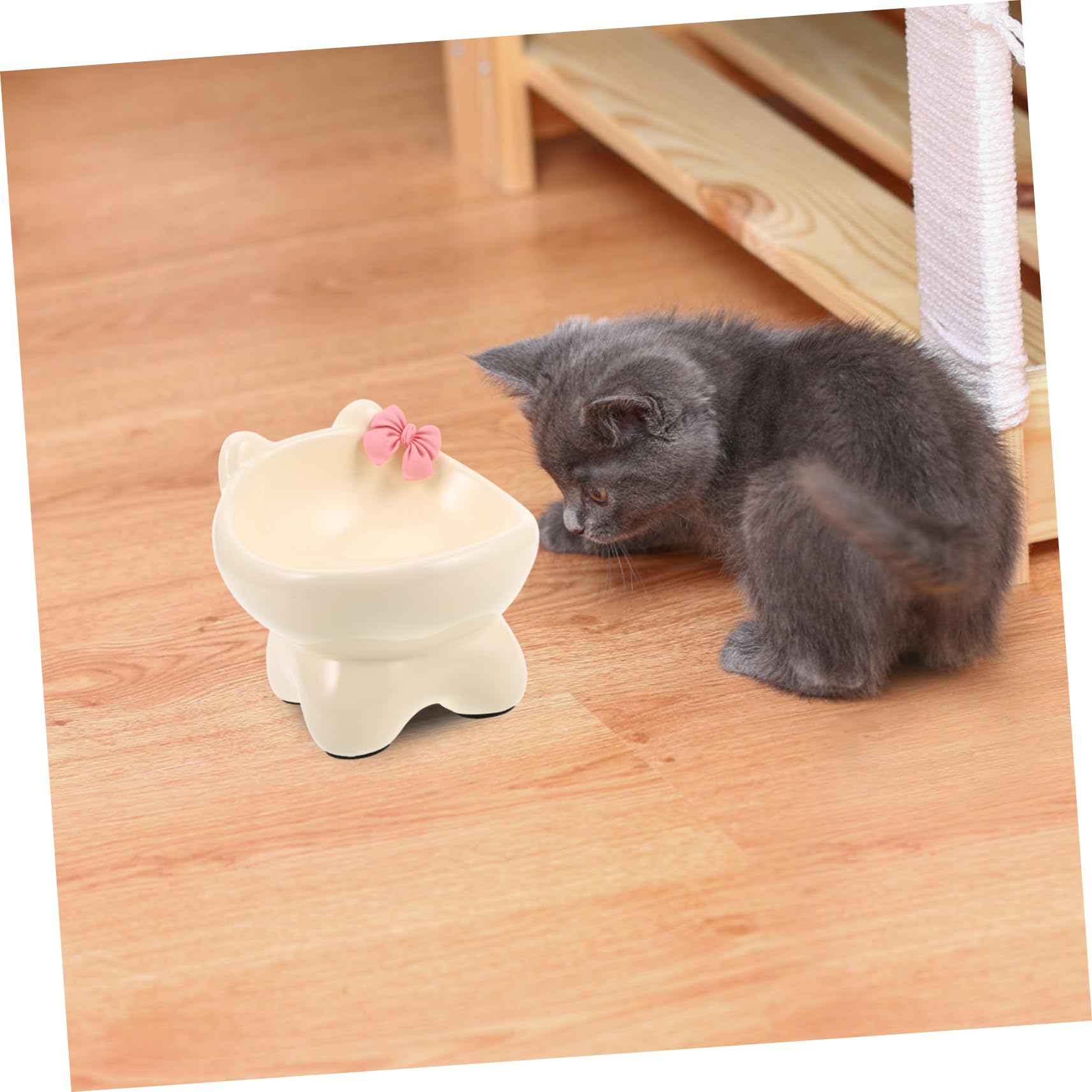 ifundom Erhöhter Keramik Katzennapf mit Schrägmund Leicht zu Reinigen Auslaufsicher für Katzen und Kleine Hunde Beige