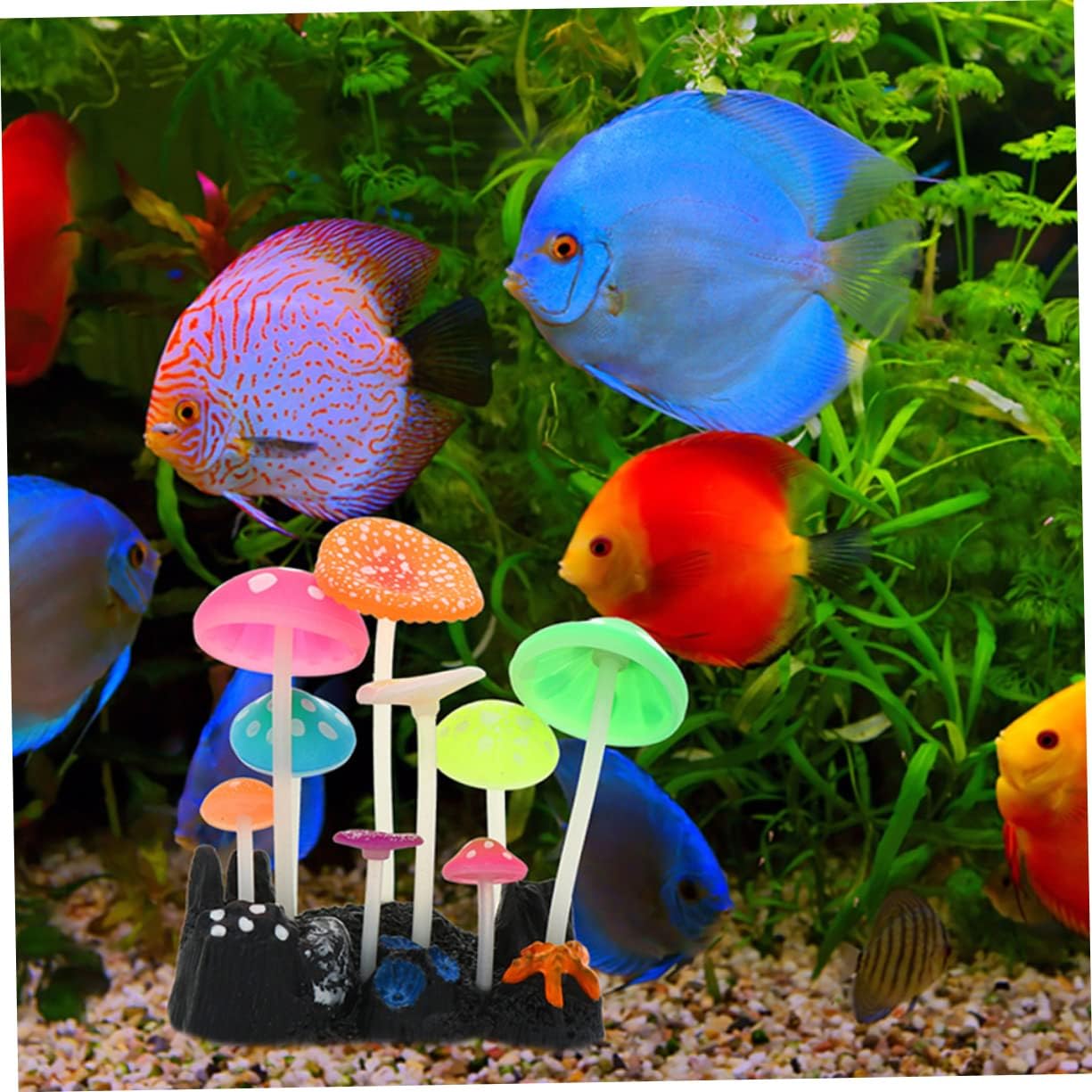 2sets Fish Tank Light Decoration Pump Turtle Goldfish Multiple Heater Tanks for Aquarium Floating Sea Artificial Canister Automatic Stand Cute Fish Tank Glowin