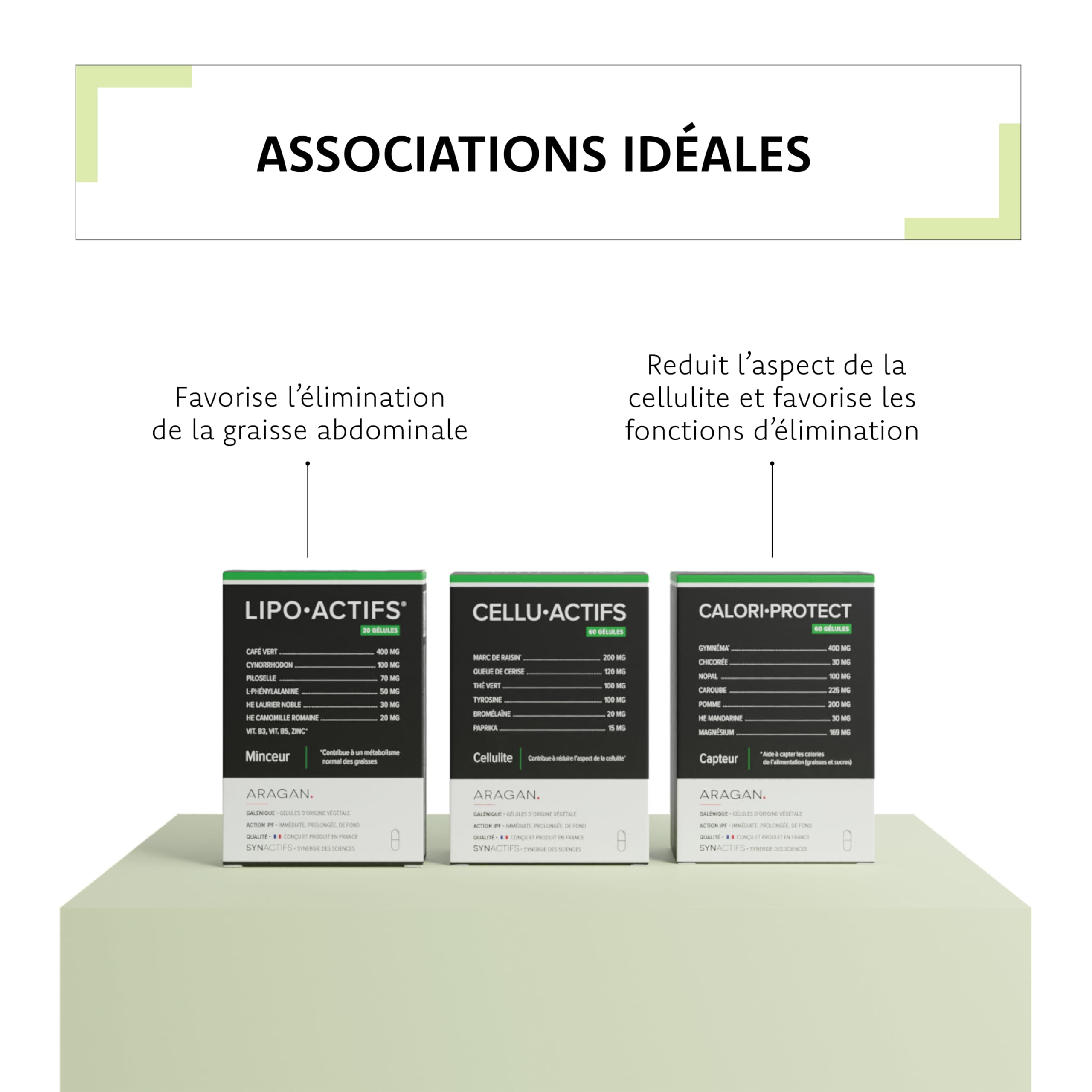 ARAGAN - Synactifs Lot de 2 CaloriProtect - Complément Alimentaire Minceur - Gymnema, Poudre de Caroube, Nopal, Huile Essentielle de Mandarine - 120 gélules - 1 à 4 mois de prise - Fabriqué en France