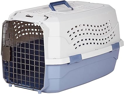 Pet Travel Carrier