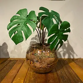 Arranjo Centro de Mesa Mini Costela de Adão Artificial Completo