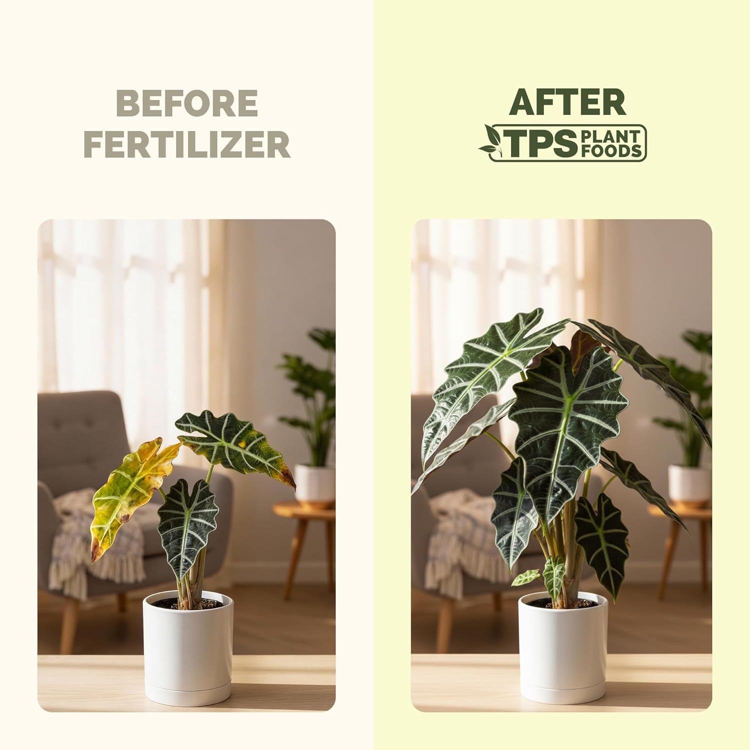 Alocasia Fertilizer – Liquid Plant Food for Bigger Leaves, Stronger Roots & Healthy Tropical Growth, 32 oz