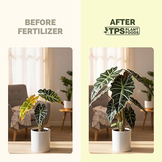 Fertilizante líquido para Alocasia 8 oz miniatura 3