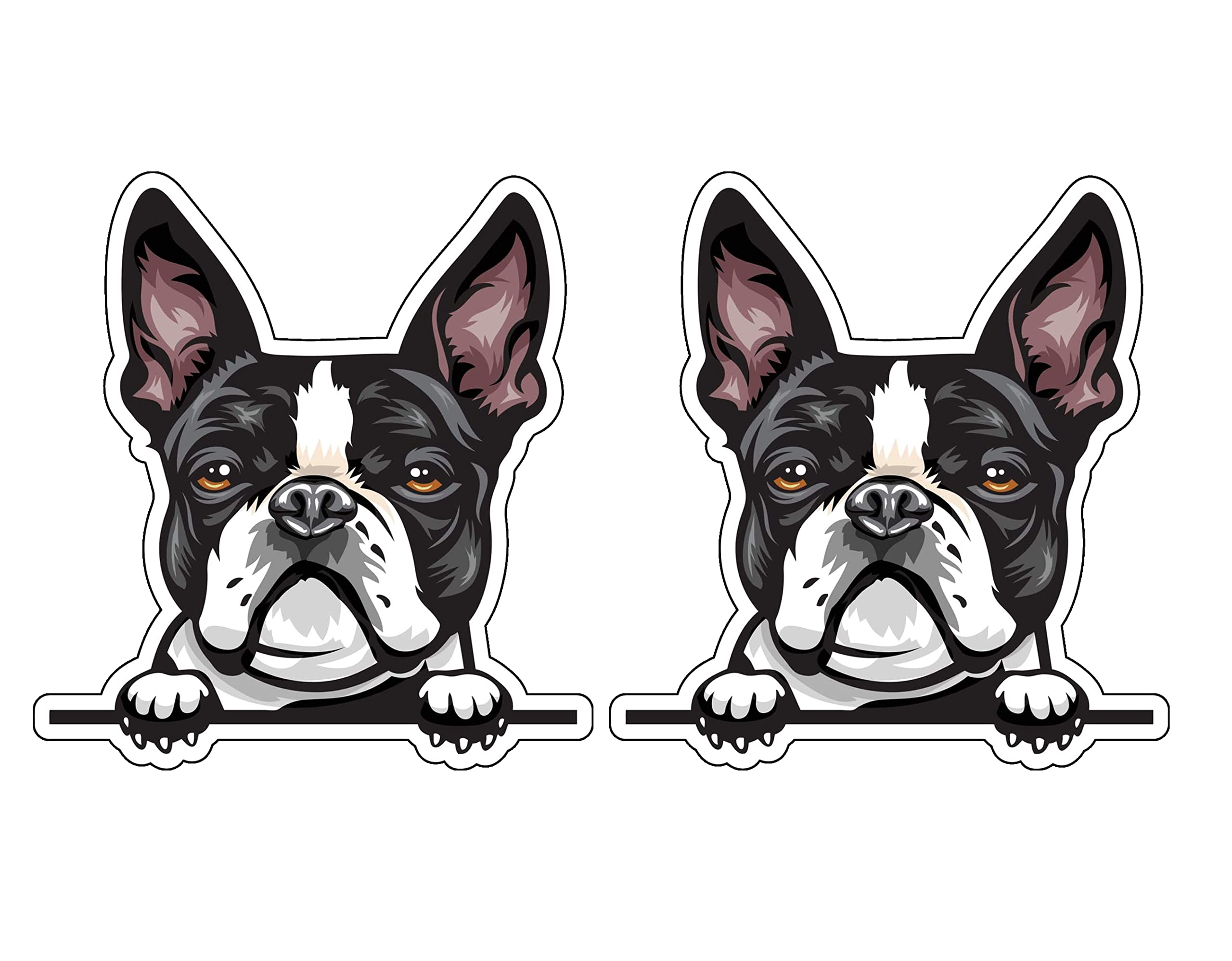 Pegatinas Boston Terrier para coche y pared pack de 2 vinilos adhesivos duraderos de WickedGoodz
