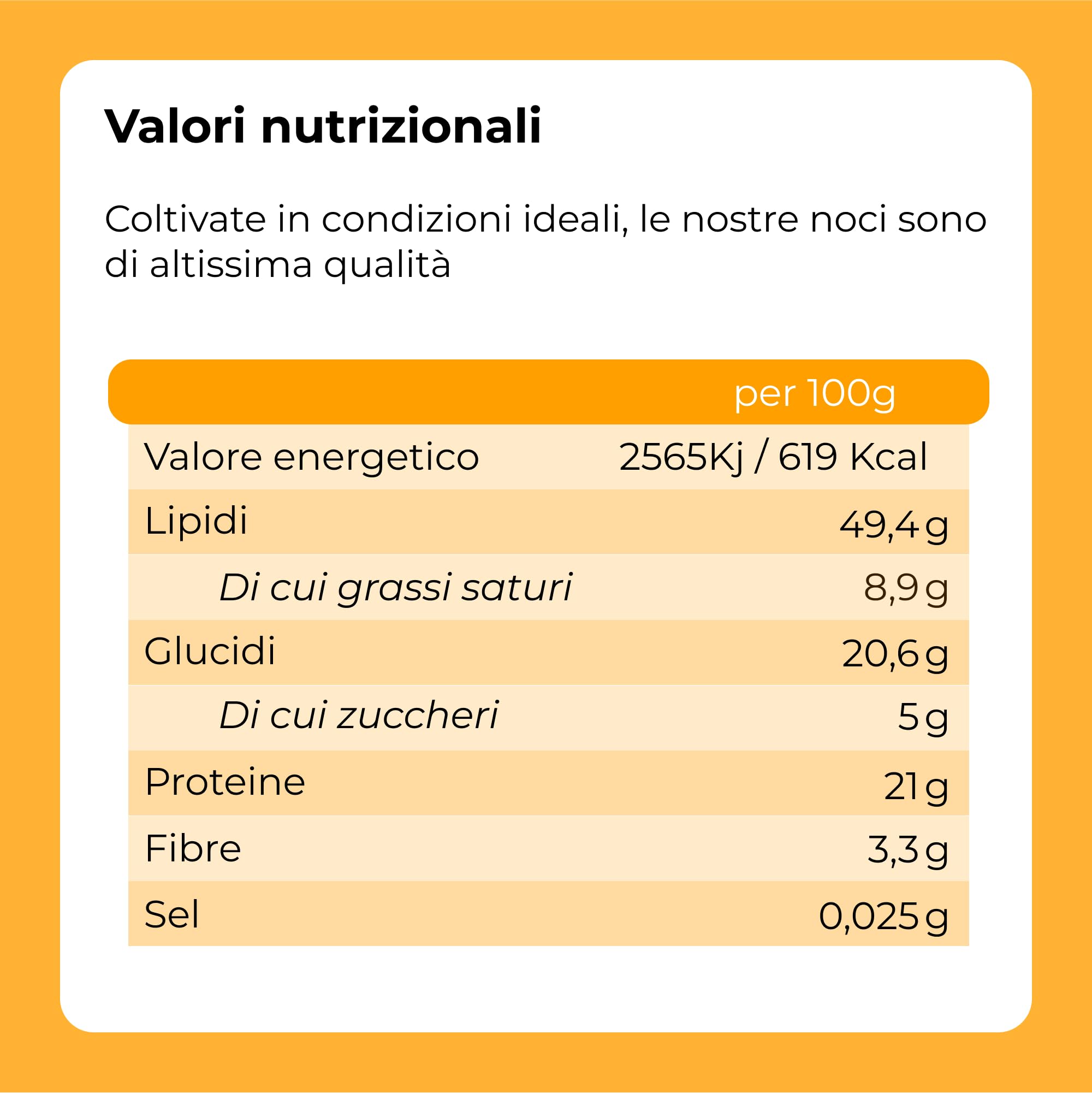 Miscela di noci 1 Kg (mandorle, nocciole, Anacardi, noci Pecan, noci del Brasile e gherigli di noce)