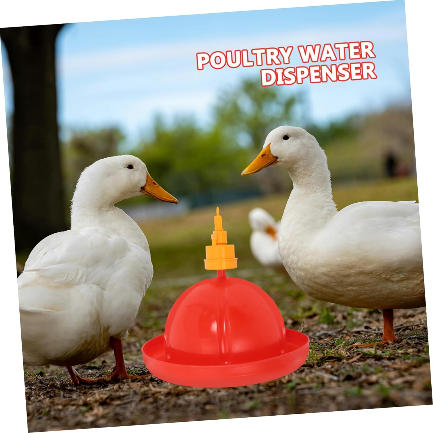 Automatic Chicken Waterer and Feeder Set Suitable for Ducks and Geese 1 Set for Poultry Hanging Design and Easy Refill