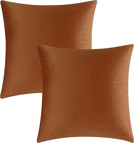 Vista 160 de GIGIZAZA - Juego de 2 fundas de almohada decorativas de 18 x 18 pulgadas, fundas de almohada cuadradas de terciopelo verde azulado pavo real