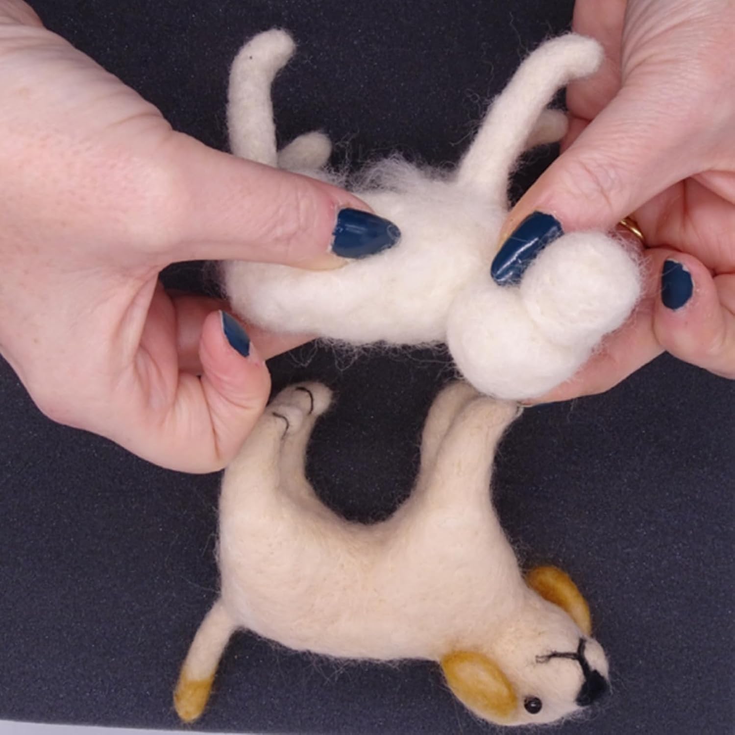 Feltsky 2 Pack Labradors Dog Needle Felting Kits for Beginners DIY Craft Kit Include Everything to Make