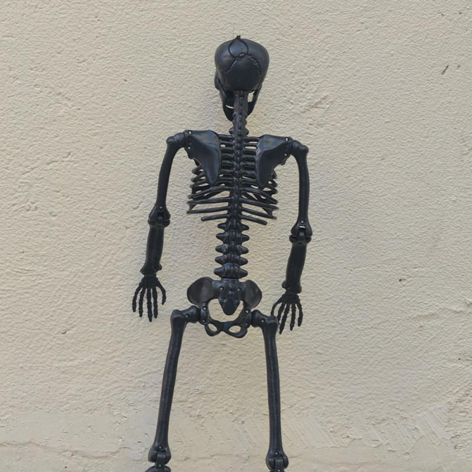 Decoración Esqueleto Halloween Modelo De Huesos Humanos Articulable Para