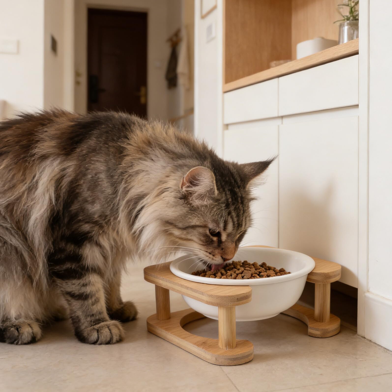 Abaodam Gamelle Surélevée en Céramique 600 ML pour Chats et Petits Chiens avec Support en Bois Blanc Anti-basculement, Bol D’Eau Nourriture pour Alimentation Intérieure et Extérieure