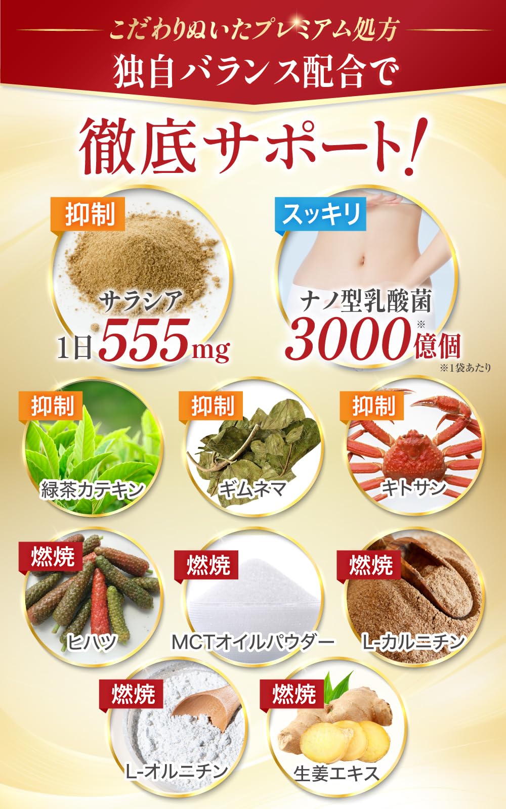 Amazon | 【医師監修】 サラシア 16650mg 【糖質ⅹ脂質 Wバリア