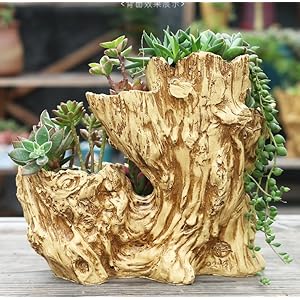 Driftwoodplanterfauxwoodresinsucculentplantervintageartificialstumploglikecontainerpotforhomegardennoplants6openings  Urban Country Home Decor Driftwood planter faux wood resin succulent planter vintage artificial stump log like container pot for homegarden no plants 6 openings  urban country home decor