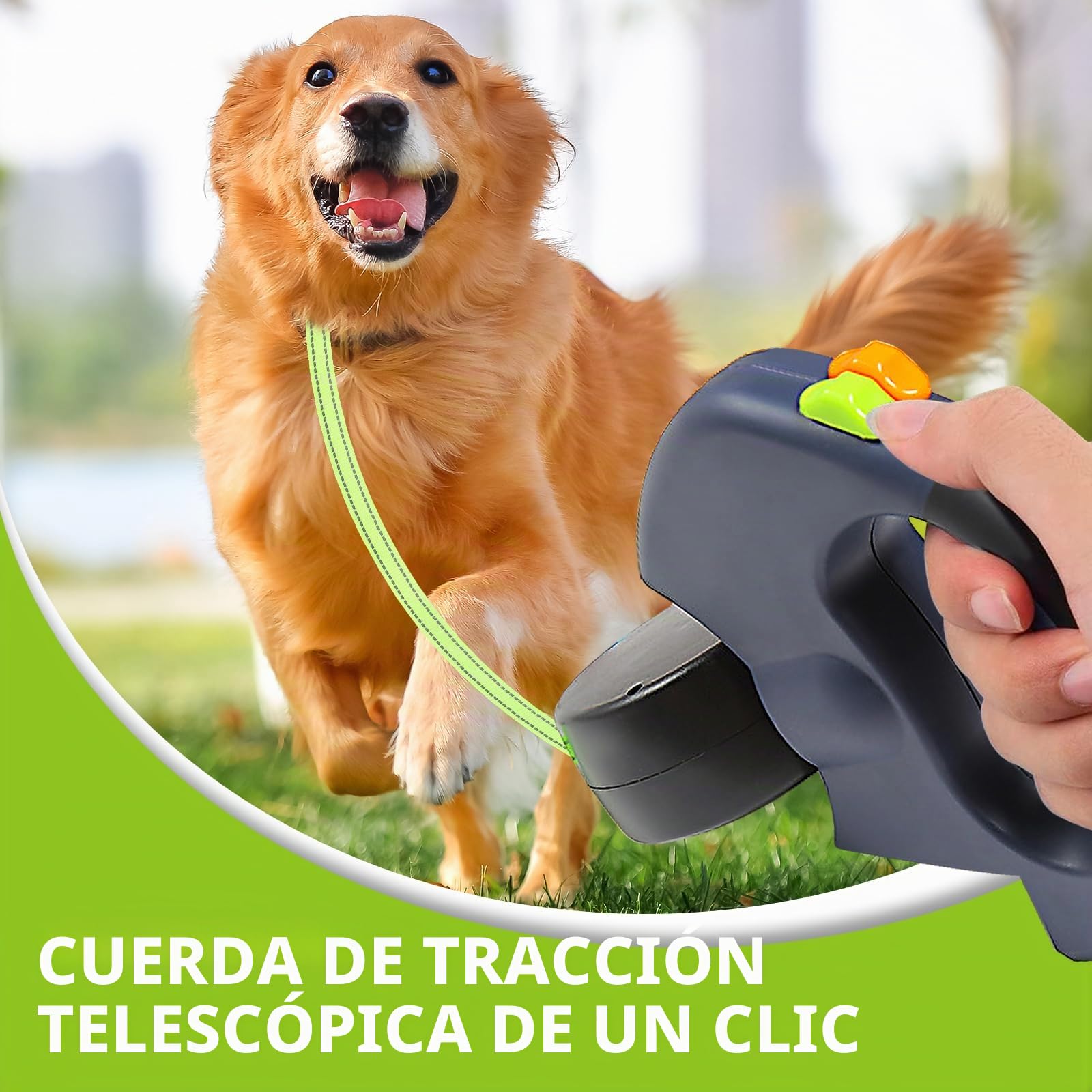 Correa Perro Extensible, Correas Flexi 3M Correa Doble Retráctil para Perro, Correa Extensible Perro Pequeño, con Linterna LED, Asa Ergonómica de Goma, para Perro Grande Mediano y Pequeño, hasta 30KG