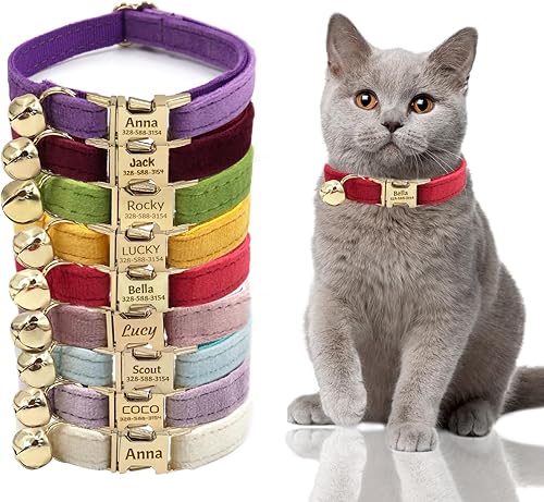 Collar de gato personalizado con placa de nombre personalizada, hebilla de metal dorado grabada, collares de identificación de gato de nailon