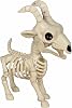 مواسم Crazy Bonez Skeleton Pygmy Goat، 11.5"
