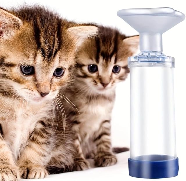 Foto 3 de 6 de OXFUZZ Cámara Transparente para Gatos y Perros