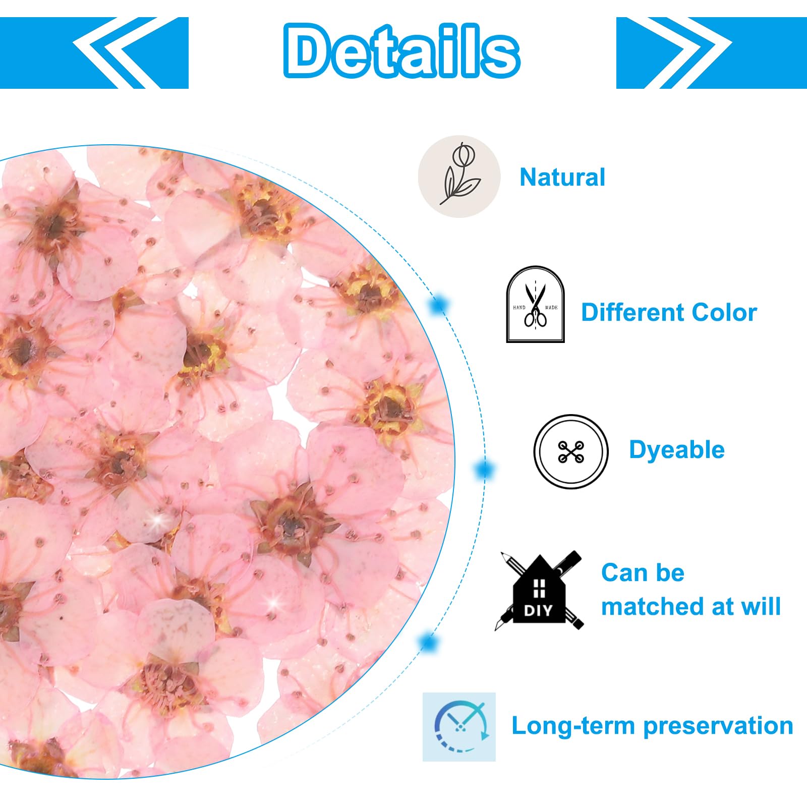 PATIKIL Dried Pressed Flower, 60 Pcs for Resin DIY Crafts Nail Art Cards Scrapbooking Jewelry Making Floral Decors, Light Pink - Image 3