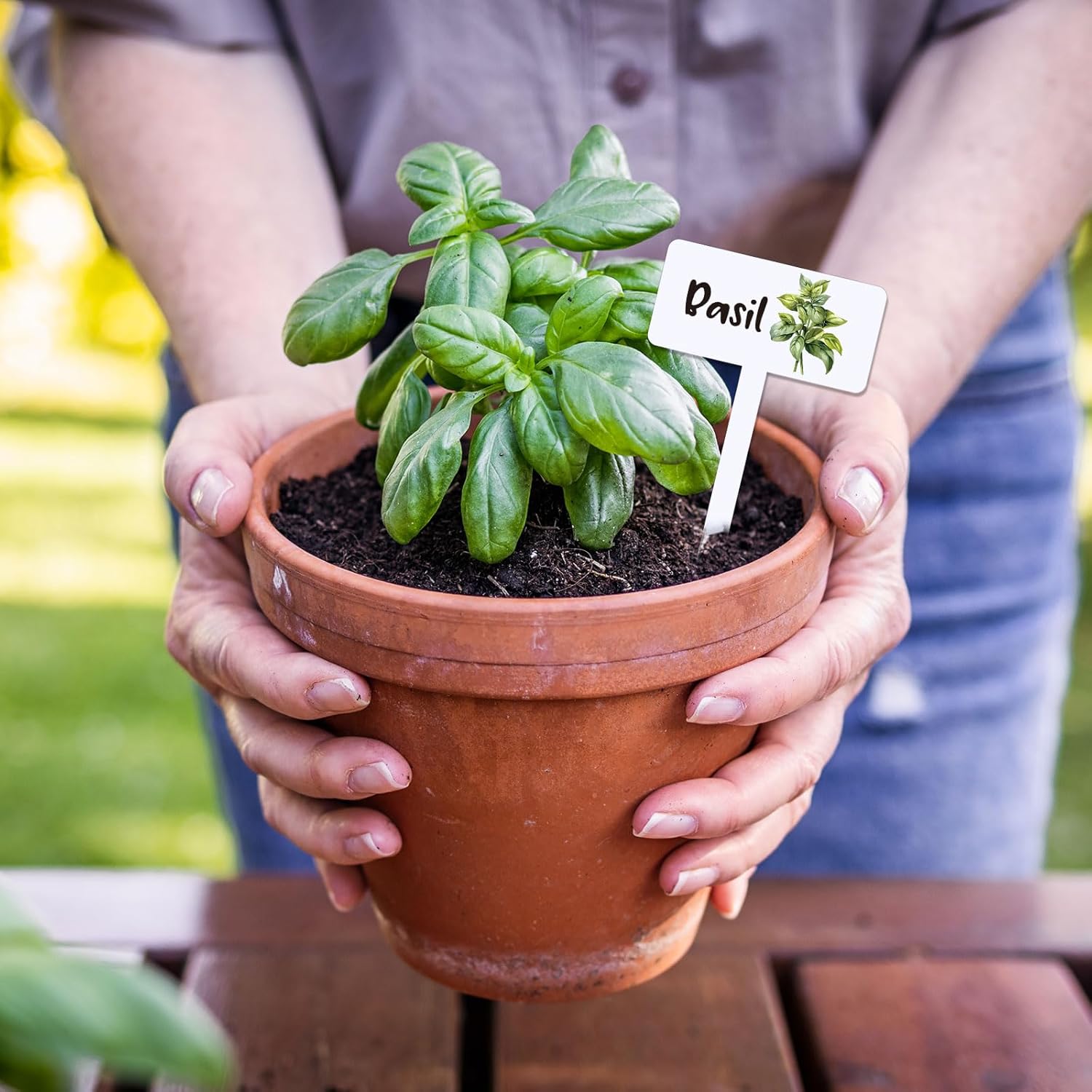 JarThenaAMCS 24Pcs Acrylic Plant Label Signs 12 Styles T-Type Herb Garden Markers Waterproof Reusable Plant Stake Tags with Names for Spring Summer Nursery Indoor Outdoor Garden Decoration - Image 5